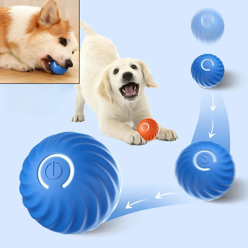 Pelota de juguete para perros, pelota rodante que rebota en movimiento automático, USB, cachorro inteligente, pelota interactiva de juguete para masticar para perros