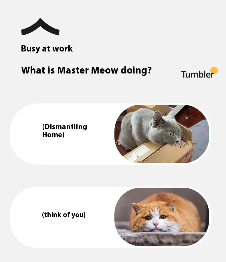 Nuevos juguetes eléctricos de pelota para gatos, bola rodante automática con rompecabezas, juguetes para gatos y pájaros, Sensor inteligente interactivo para mascotas, juguetes recargables para gatos