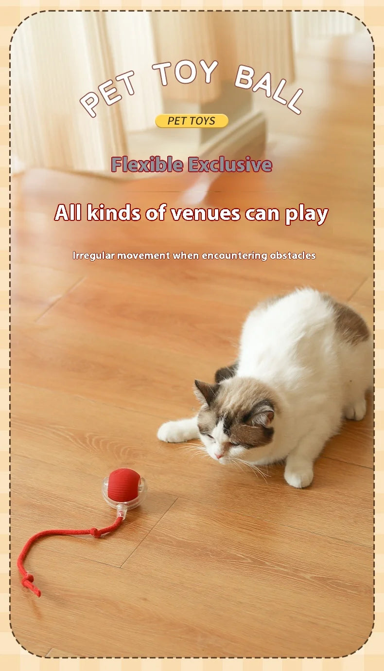 Nuevos juguetes eléctricos de pelota para gatos, bola rodante automática con rompecabezas, juguetes para gatos y pájaros, Sensor inteligente interactivo para mascotas, juguetes recargables para gatos