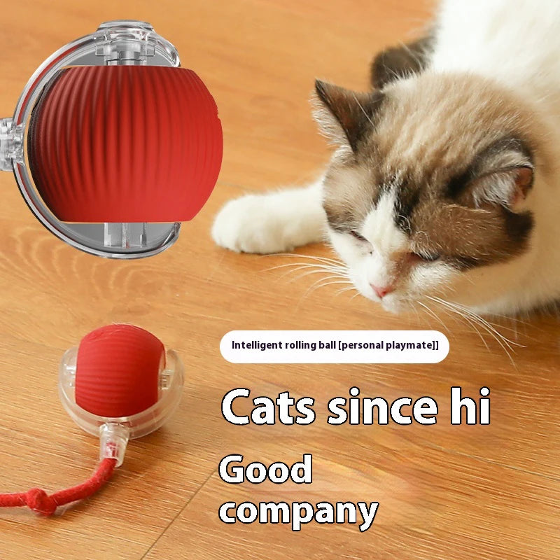 Nuevos juguetes eléctricos de pelota para gatos, bola rodante automática con rompecabezas, juguetes para gatos y pájaros, Sensor inteligente interactivo para mascotas, juguetes recargables para gatos