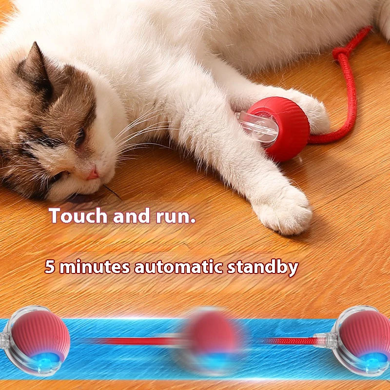 Nuevos juguetes eléctricos de pelota para gatos, bola rodante automática con rompecabezas, juguetes para gatos y pájaros, Sensor inteligente interactivo para mascotas, juguetes recargables para gatos