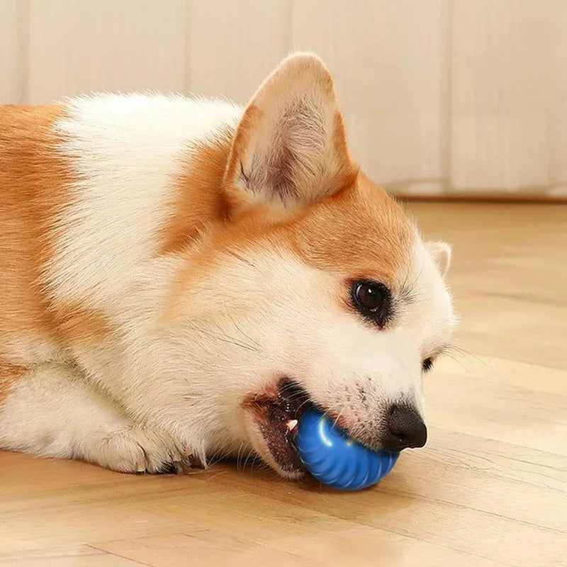 Pelota de juguete inteligente para perros, juguete interactivo electrónico para mascotas, pelota móvil USB, rebote automático para cachorros, regalo de cumpleaños, productos para gatos.