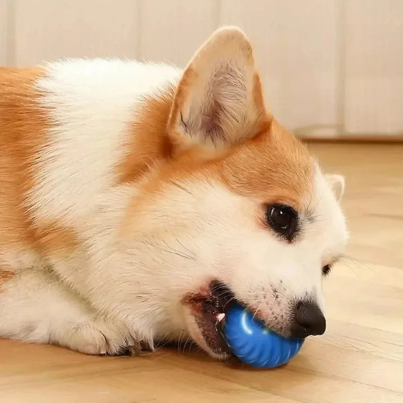 Pelota de juguete para perros, pelota rodante que rebota en movimiento automático, USB, cachorro inteligente, pelota interactiva de juguete para masticar para perros