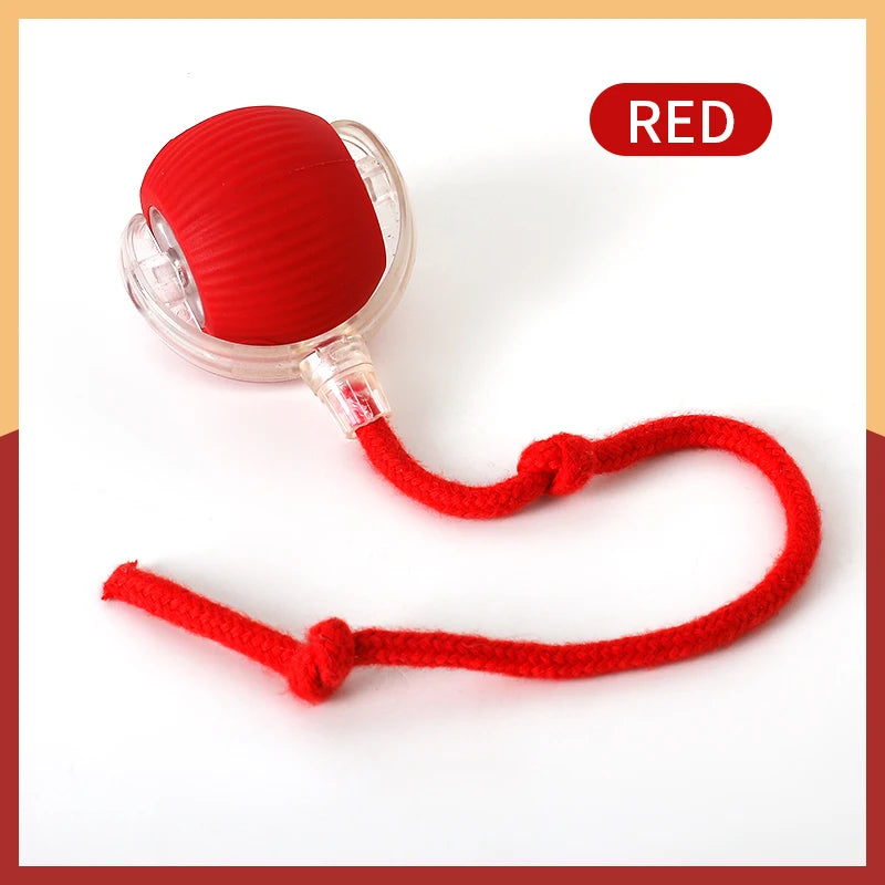 Nuevos juguetes eléctricos de pelota para gatos, bola rodante automática con rompecabezas, juguetes para gatos y pájaros, Sensor inteligente interactivo para mascotas, juguetes recargables para gatos