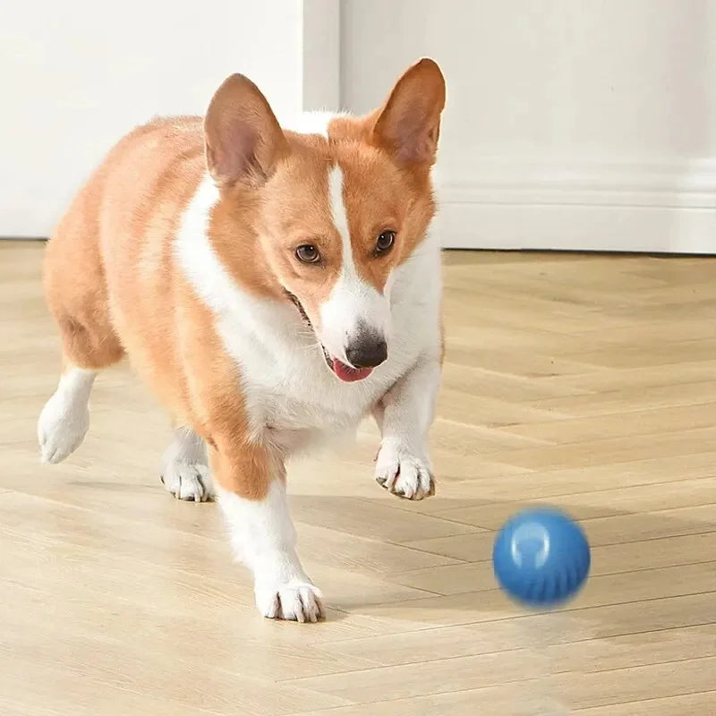 Pelota de juguete inteligente para perros, juguete interactivo electrónico para mascotas, pelota móvil USB, rebote automático para cachorros, regalo de cumpleaños, productos para gatos.