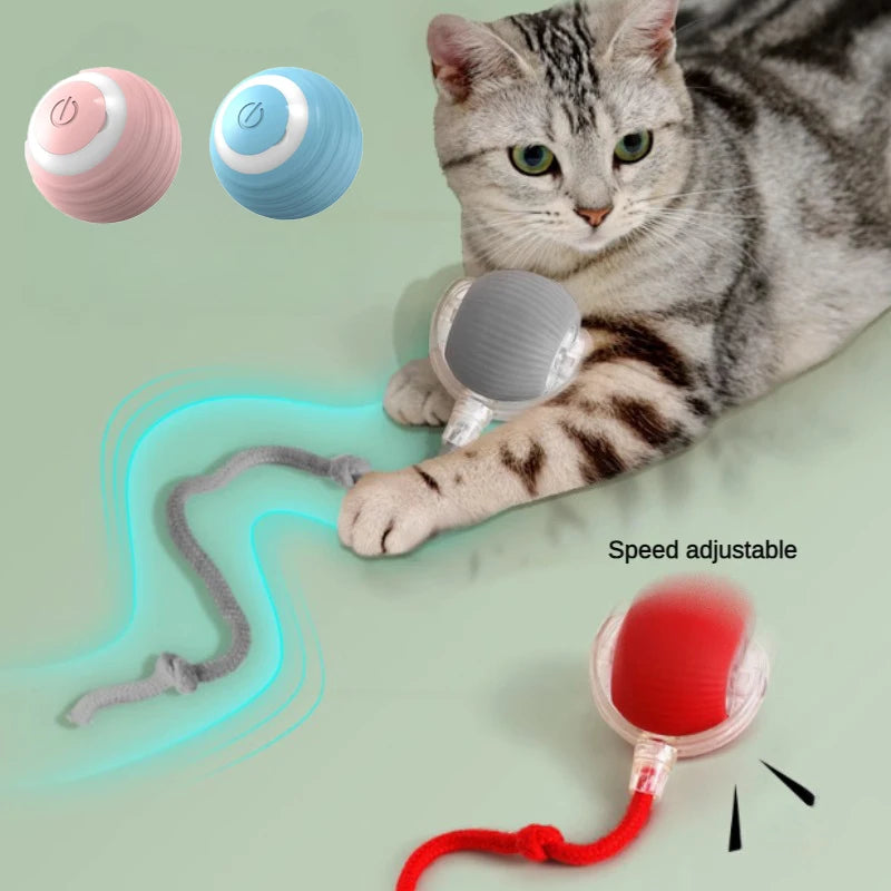 Nuevos juguetes eléctricos de pelota para gatos, bola rodante automática con rompecabezas, juguetes para gatos y pájaros, Sensor inteligente interactivo para mascotas, juguetes recargables para gatos