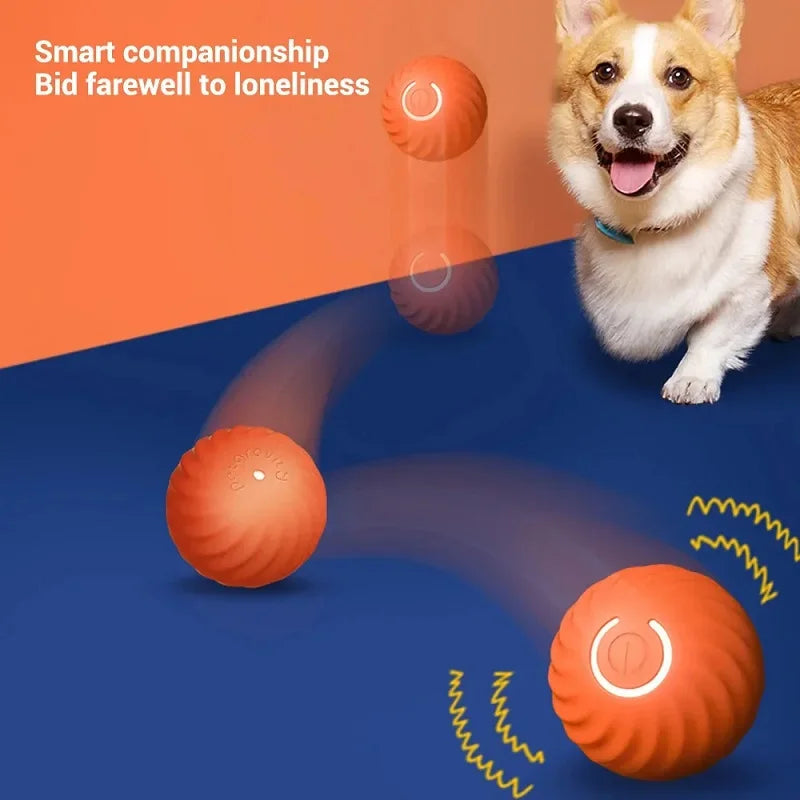 Pelota de juguete para perros, pelota rodante que rebota en movimiento automático, USB, cachorro inteligente, pelota interactiva de juguete para masticar para perros