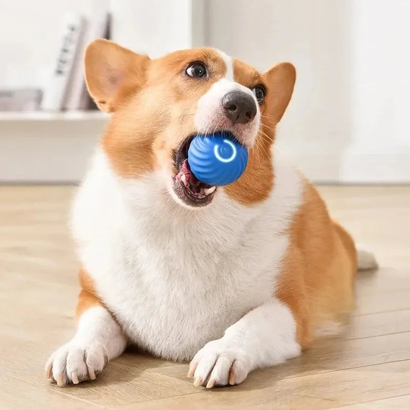 Pelota de juguete inteligente para perros, juguete interactivo electrónico para mascotas, pelota móvil USB, rebote automático para cachorros, regalo de cumpleaños, productos para gatos.