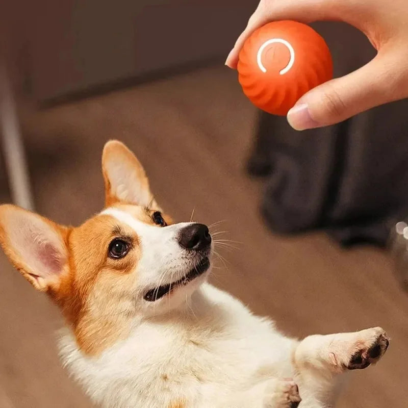 Pelota de juguete para perros, pelota rodante que rebota en movimiento automático, USB, cachorro inteligente, pelota interactiva de juguete para masticar para perros