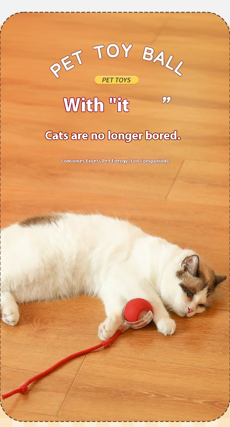 Nuevos juguetes eléctricos de pelota para gatos, bola rodante automática con rompecabezas, juguetes para gatos y pájaros, Sensor inteligente interactivo para mascotas, juguetes recargables para gatos