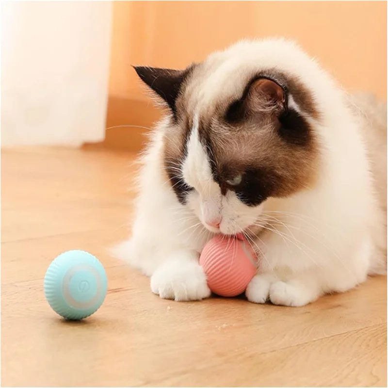 Pelota de juguete inteligente para perros, juguete interactivo electrónico para mascotas, pelota móvil USB, rebote automático para cachorros, regalo de cumpleaños, productos para gatos.