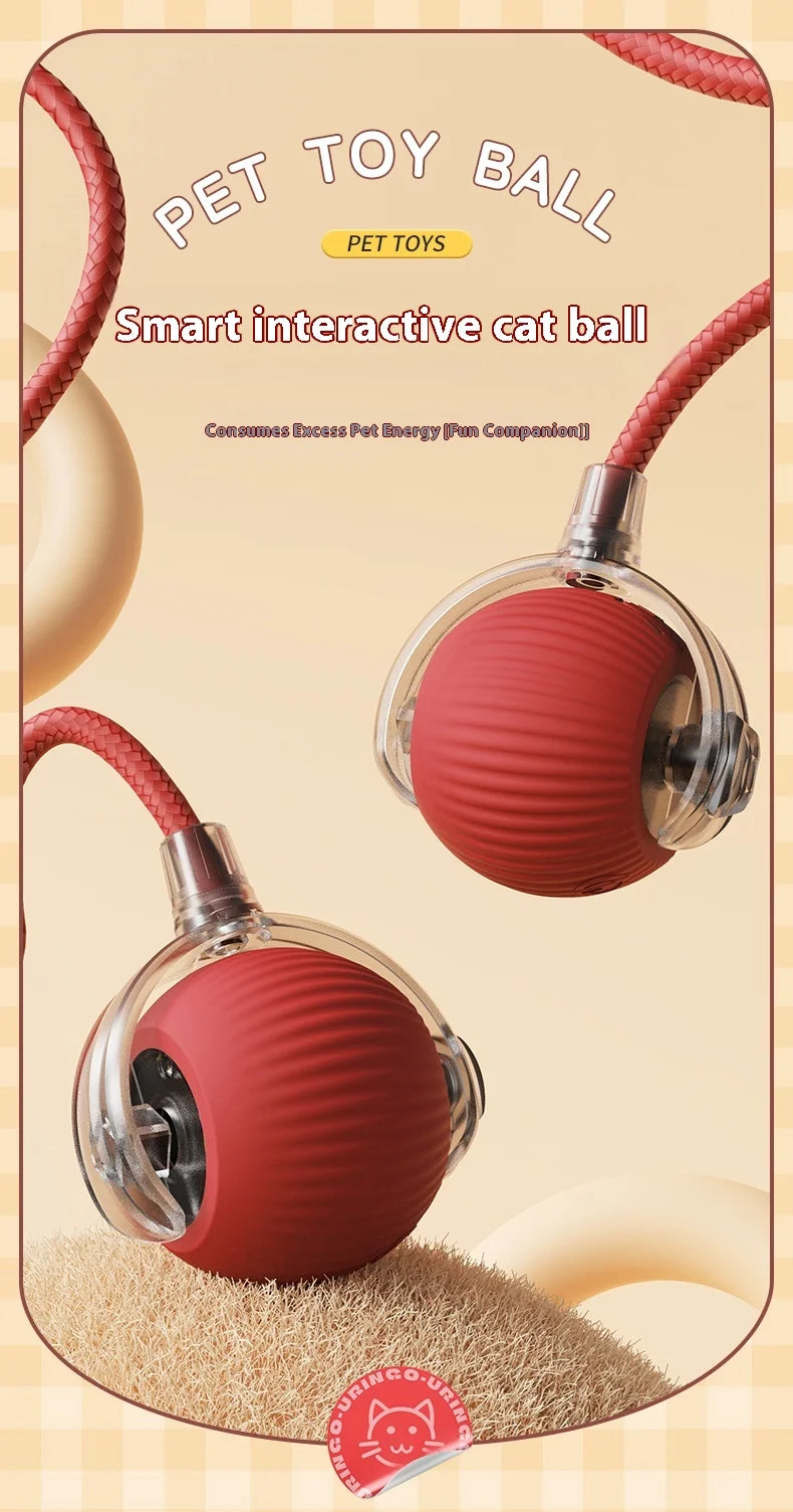 Nuevos juguetes eléctricos de pelota para gatos, bola rodante automática con rompecabezas, juguetes para gatos y pájaros, Sensor inteligente interactivo para mascotas, juguetes recargables para gatos
